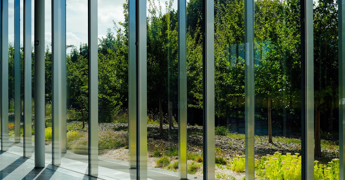 Understanding the Appeal Process for Window Tinting Penalties
